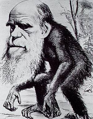 Charles Darwin caricaturizado