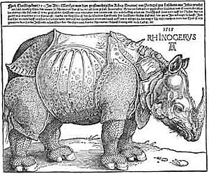 Rinoceronte de Durero.