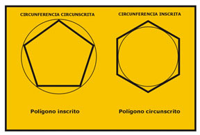 Circunferencia circunscrita y circunferencia inscrita en polígonos.