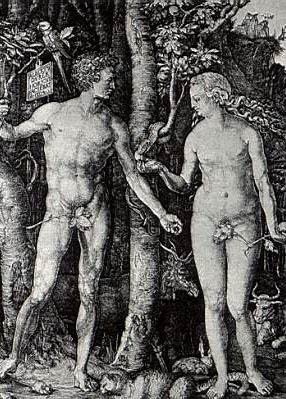 Grabado de Alberto Durero (1504): Adán y Eva