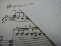 Discapacidad visual: educación musical y accesibilidad