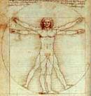 &Eacute;tude de proportions tir&eacute;e du "De Architectura de Vitruve"

1490