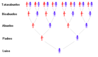 familia.gif (4016 bytes)