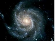 Galaxias