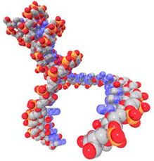 Representación de la duplicación de una cadena de ADN, base genética de la reproducción.