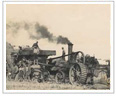 Recogiendo y trabajando el trigo (1921). Nueva Zelanda
