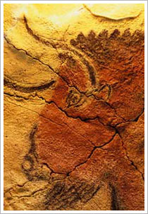 Cara de vaca de las pinturas de Altamira (Cantabria). Banco de imágenes del ITE