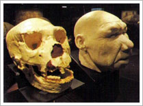 Cráneo del homo antecesor y recreación virtual 