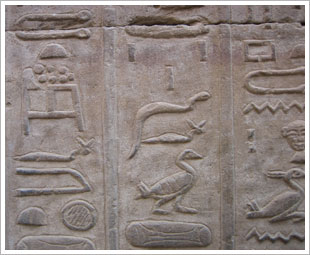 Detalle de un jeroglífico egipcio. María J. Fuente (col. particular, 2006)