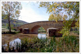 Puente romano de Osma (Soria). María J. Fuente (col. particular)