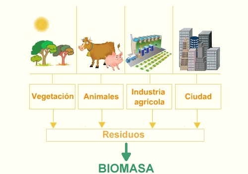 obtencin de energa a partir de la biomasa