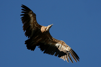179087_m_1.jpg