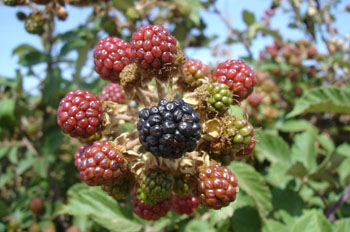 27759__156_m_1.jpg