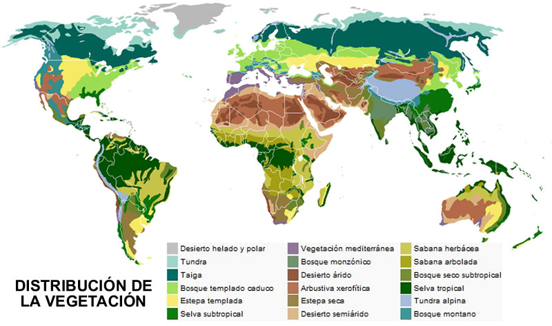 Distribución de la vegetación