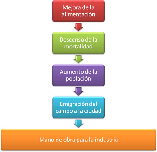Manifestaciones de la industrialización