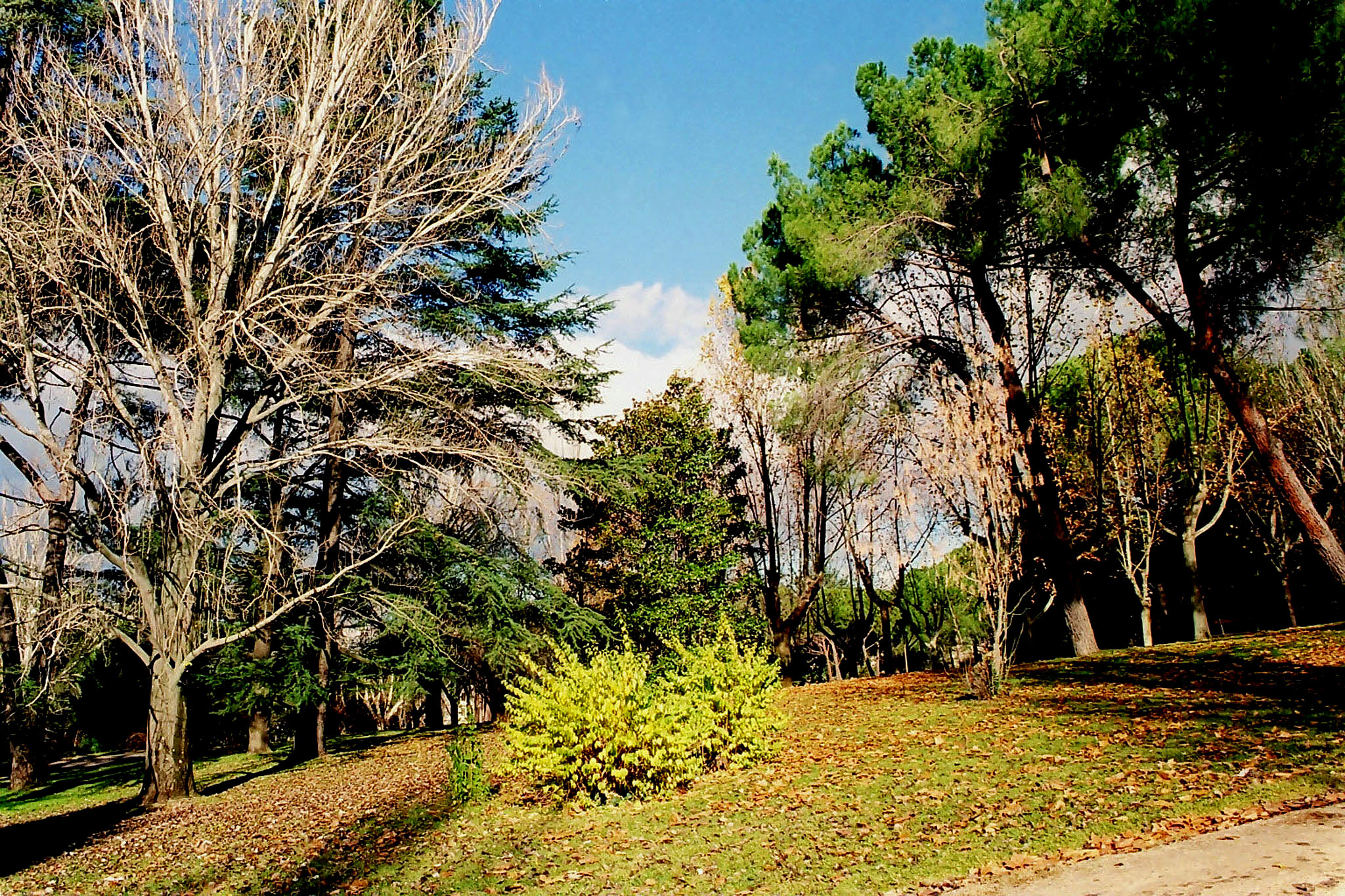 Detalle del paisaje Tajuña-la Alcarria