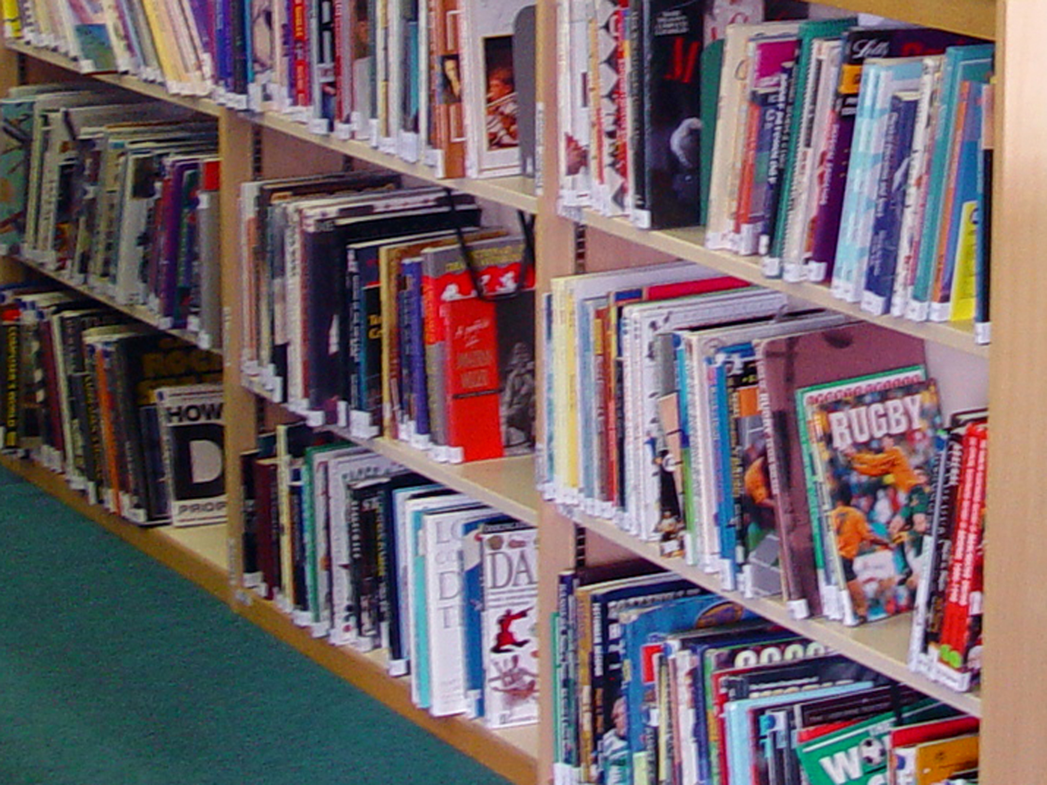 imagen de estantería con libros