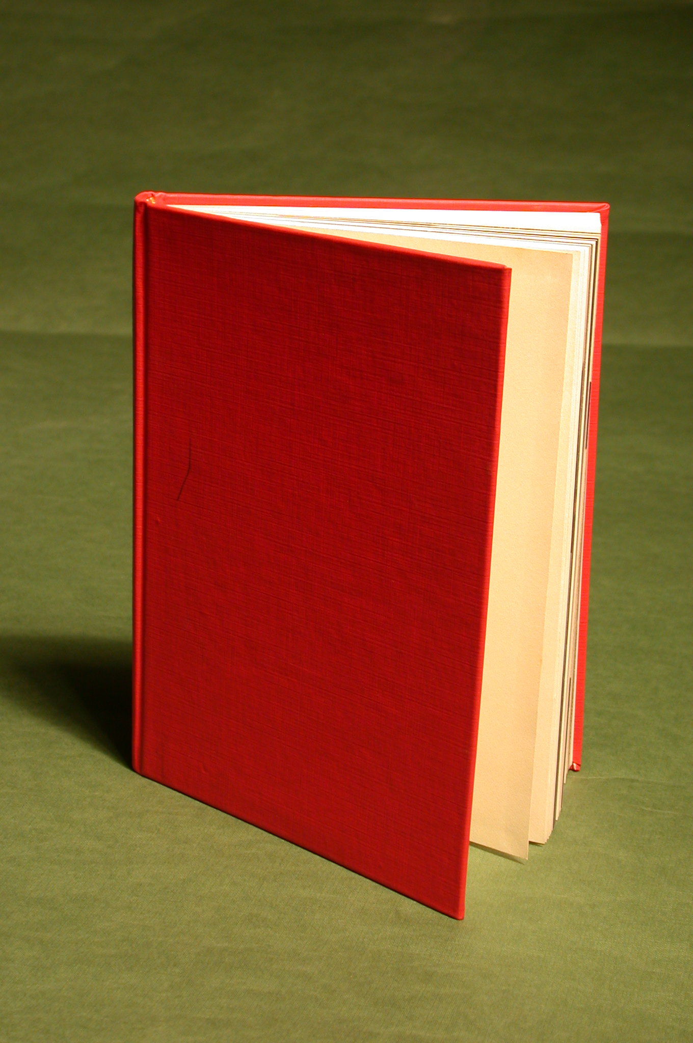 imagen de un libro